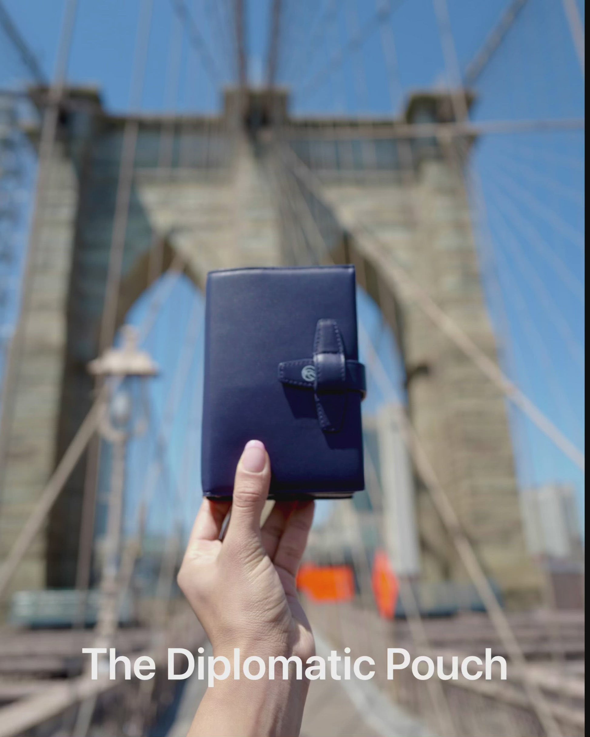 Blue Video Goldfinch Diplomatic Pouch Cannabis Carrying Case