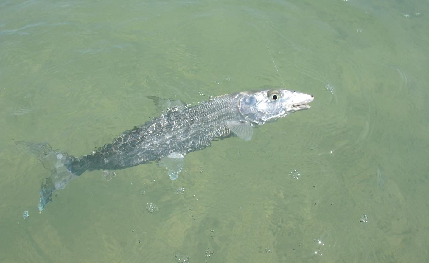 The Lonely Stoner's Guide to Looking for Love in All the Right Places | Cannabis Now