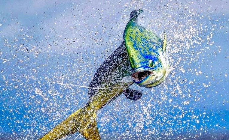 Fishing Fatherss Gifts: Fishing Gifts for Him | Stop Fishing Start Catching