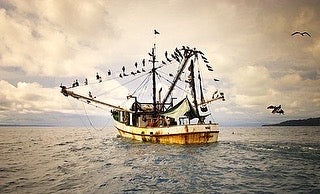 Voyager Rip Tide Bone fish luxury cannabis joint tube storage tube Holiday fishing gift