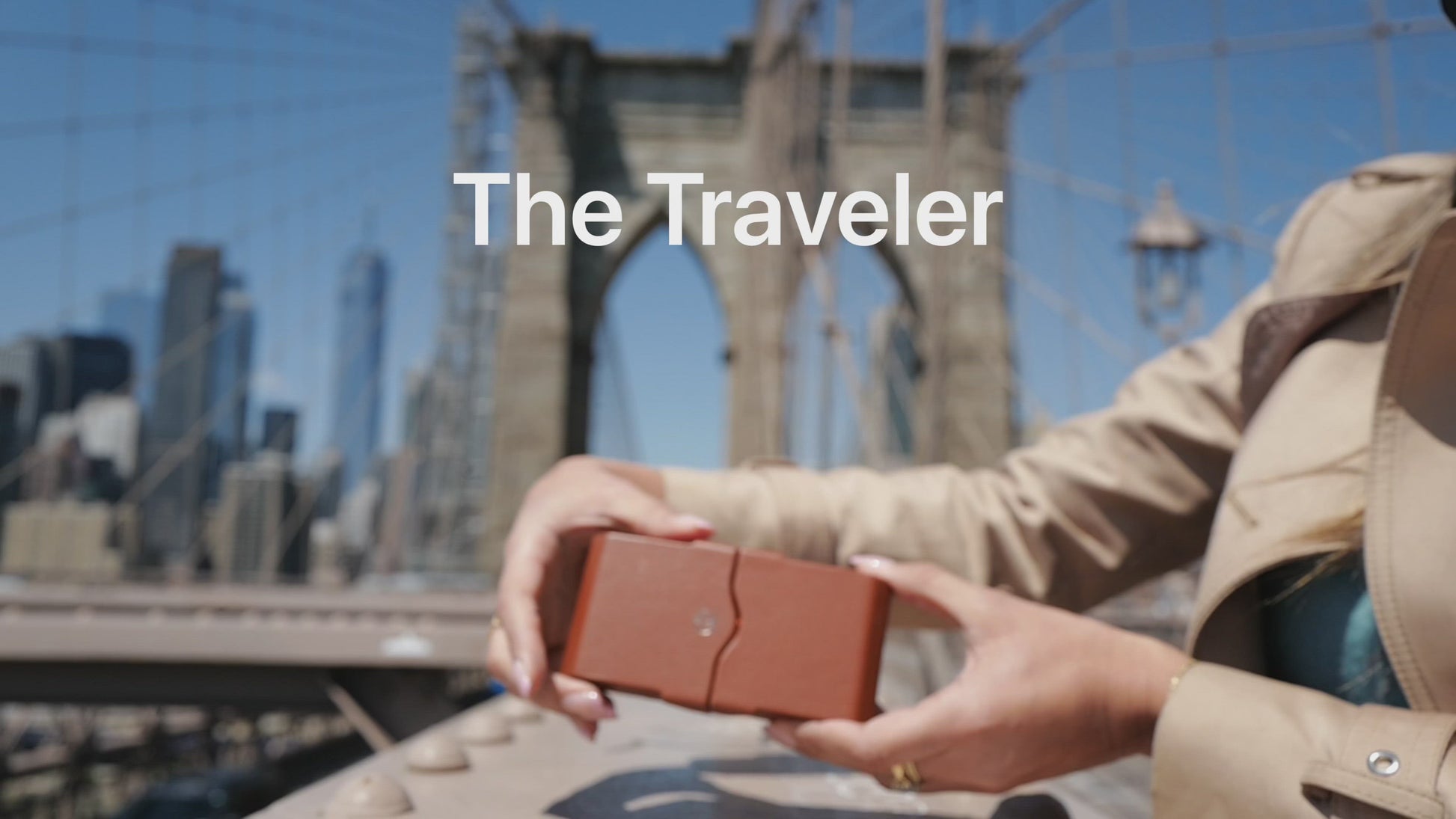 Luxury Vape Pen Storage and Travel Case